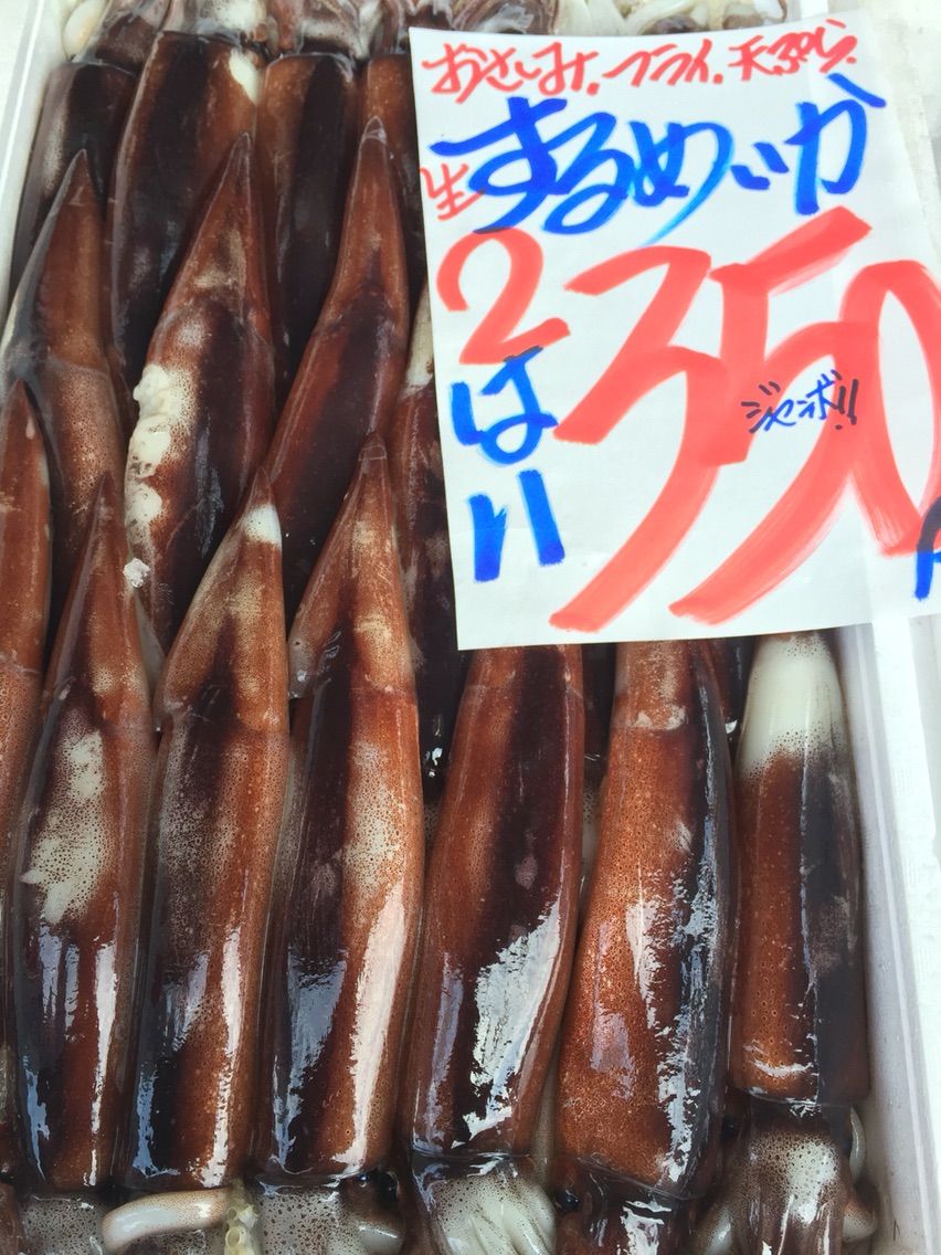 爆安の殿堂 道産魚工房 12月1日 火曜日 爆安 オススメ品 肉厚ジャンボしいたけ メローゴールド 活〆黒がれい 活〆油がれい 生するめいか バチまぐろ 色々あります 爆安 鮮魚 青果販売 爆安の殿堂 道産魚工房 どさんここうぼう 札幌市北区北24条西17丁目3 3