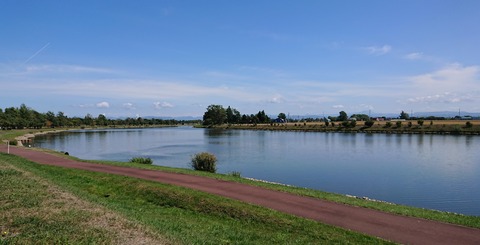 秋風景新篠津村DSC_2149