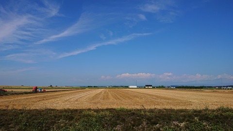 夏風景DSC_1394