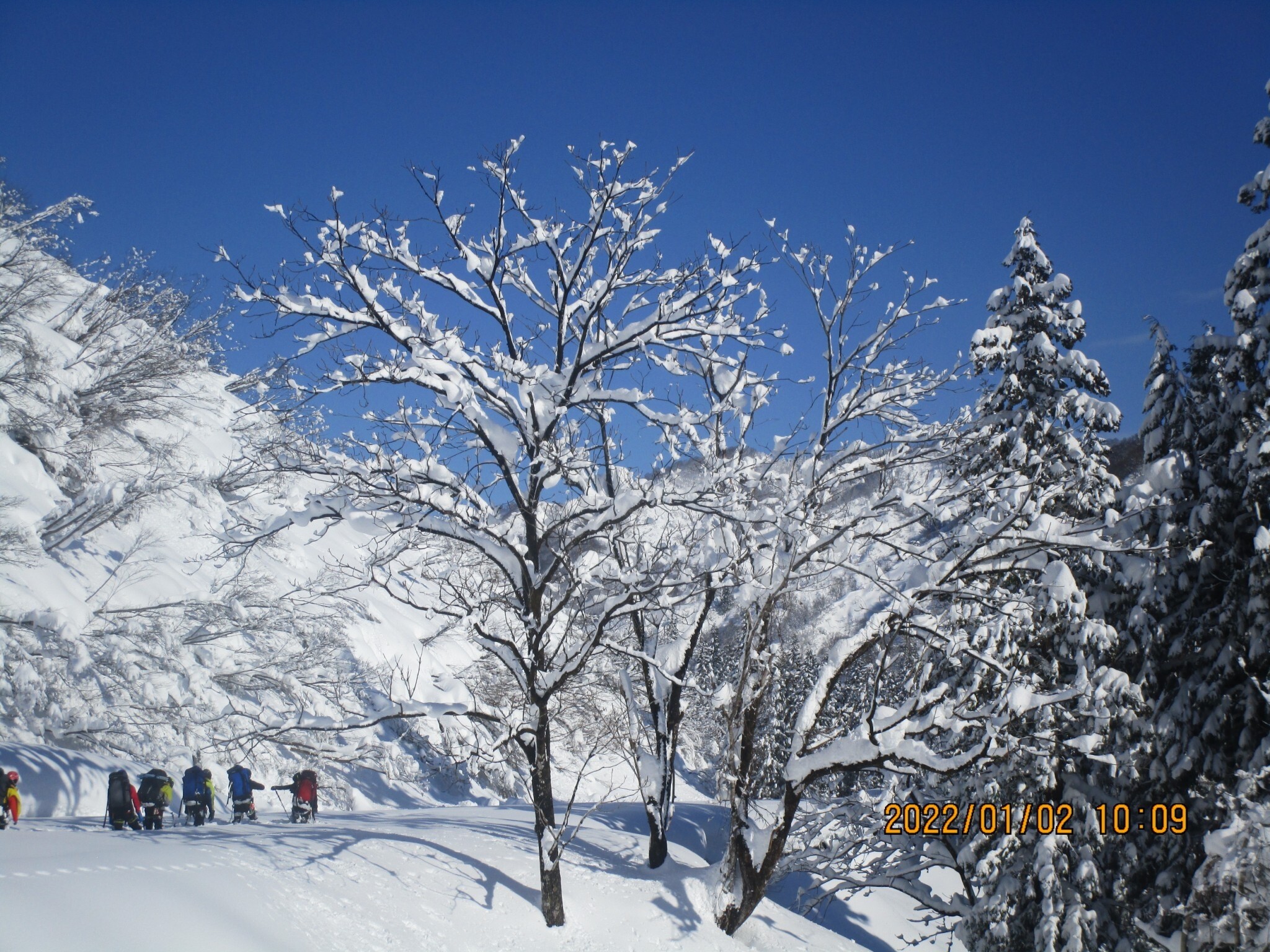 LINE_ALBUM_220106_2