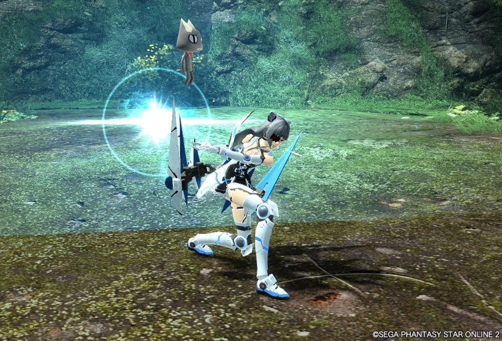 おれねこ Pso2 おれねこ Pso2