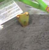�ߤ�����