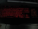 ºÇ¹âµ±ÅÙ