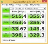 SP920_256GB_CDM