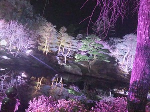 IMG_2135