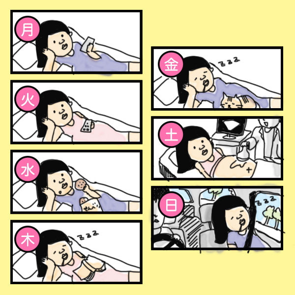 妊娠編 臨月 ぐうたらの極み ドスコイ みるくちゃん