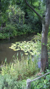 naosima01