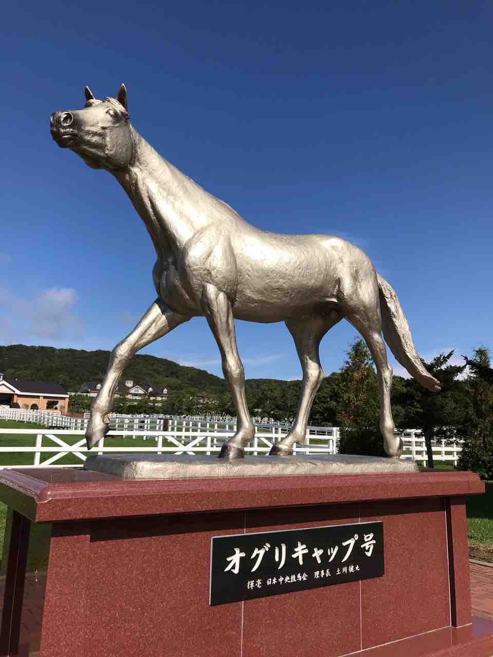 新冠郡新冠町の 優駿メモリアルパーク にて 食材調達人