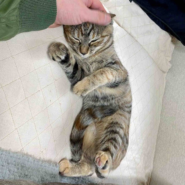 FullSizeRender