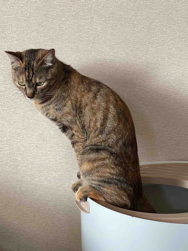 FullSizeRender