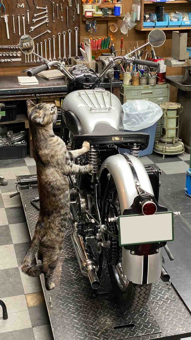 FullSizeRender