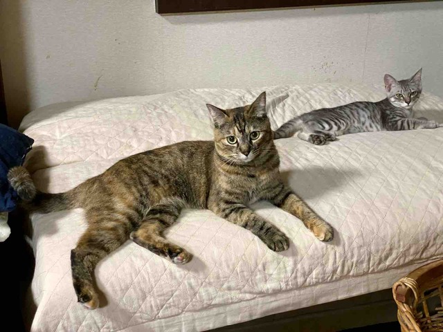 FullSizeRender