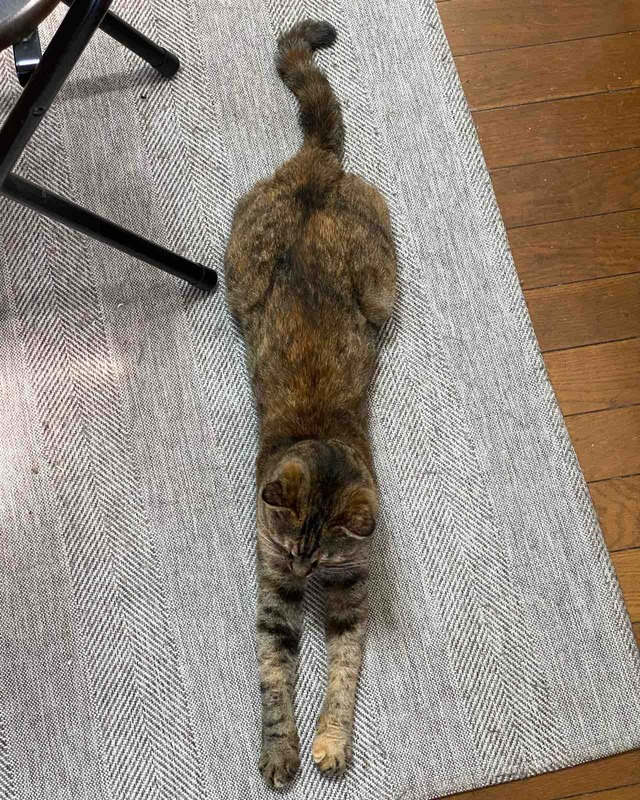 FullSizeRender