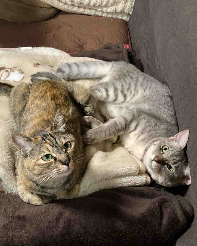 FullSizeRender