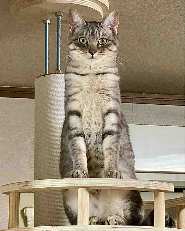 FullSizeRender