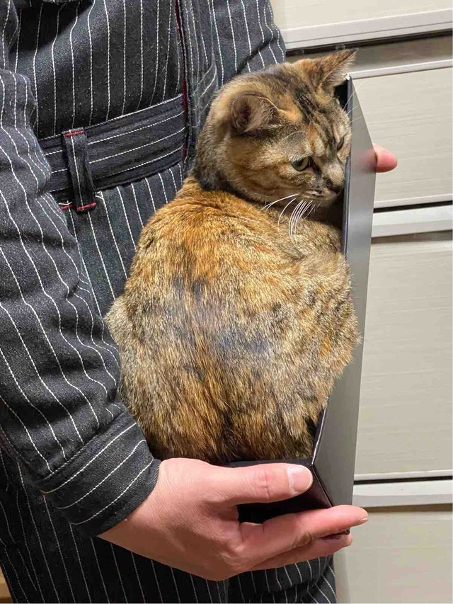 FullSizeRender