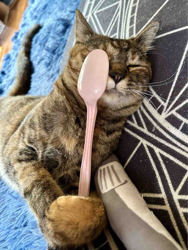 FullSizeRender