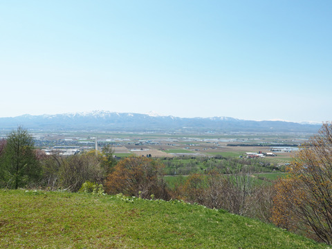 P5052885