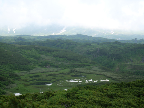 P1373895