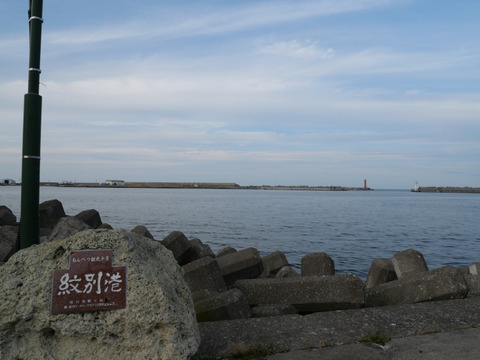 P1384528
