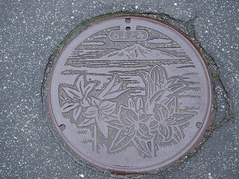 豊富町