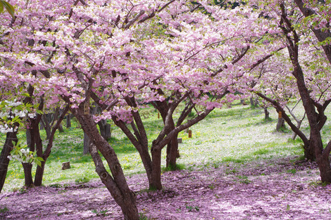 blog_import_58edaae8c8c94