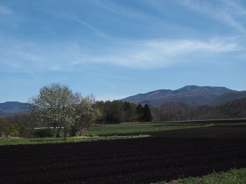 P4280580_R