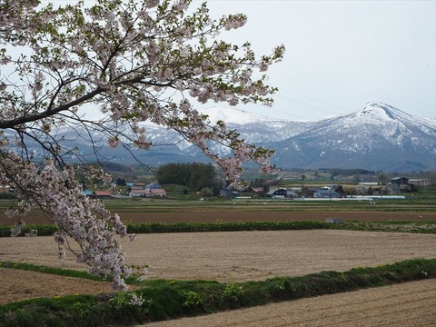 P5010778_R