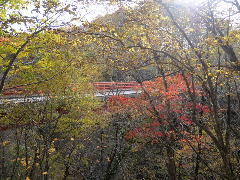 紅葉 歴舟川上流にある迫力ある紅葉の美しい秘境 道が悪いので運転には要注意 坂下仙境 北海道よりみち話 北海道の果てまで行ってみよう