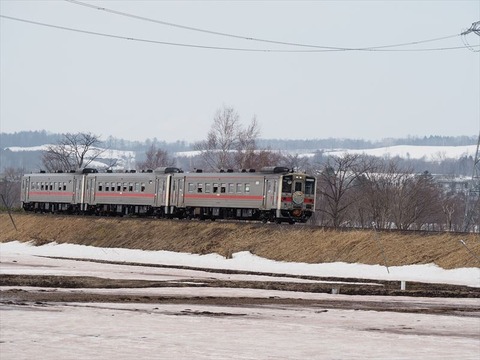 P3310495_R