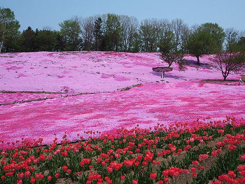 o0800060013659723496