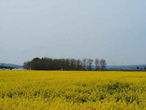 P5230018_R