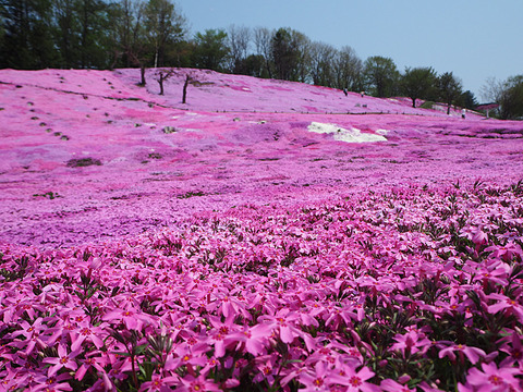 o0800060013659723493