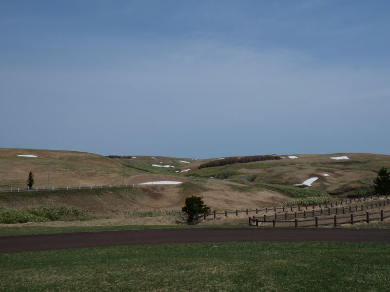 景色】東京ドーム320個分の広大な牧場！見渡す限り草原が続くなだらか