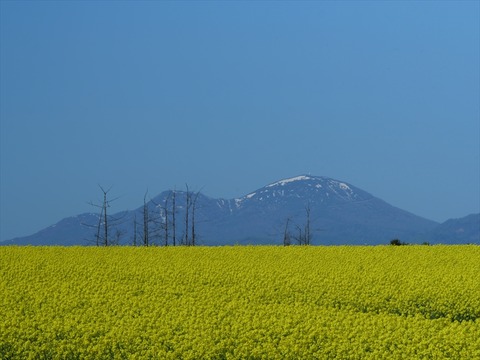 P1361802_R