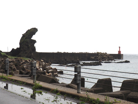 P8110020