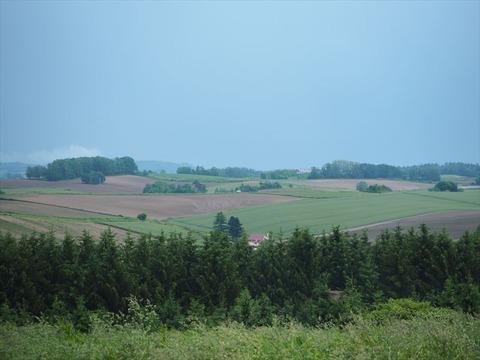 P6130567_R