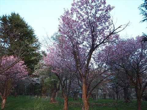 P5051028_R