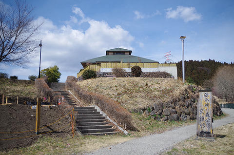 IMGP0049