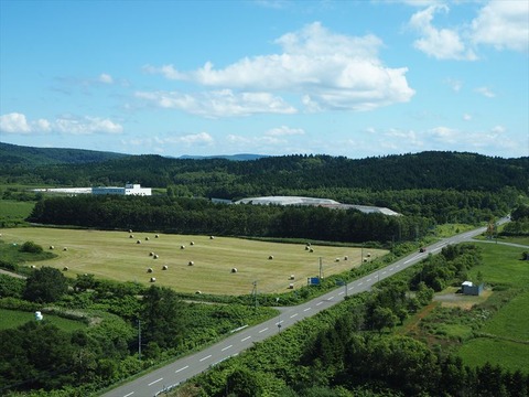 P7260242_R