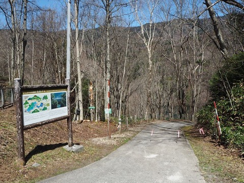 P4260267_R