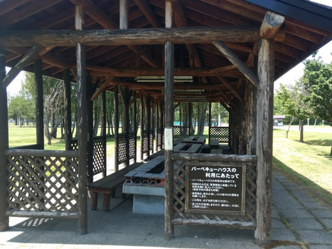P1384353