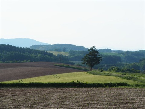 P6140780_R