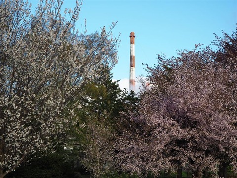 P5020904_R