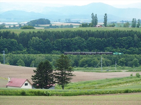 P6130552_R