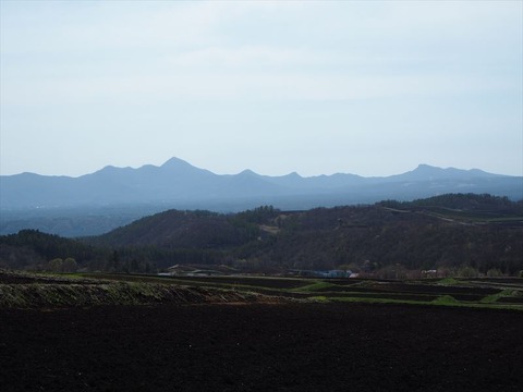 P4280588_R