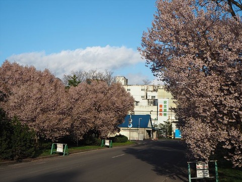 P5020907_R