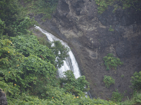 P8110019