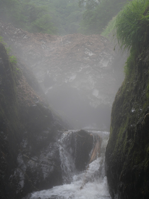 P1395575