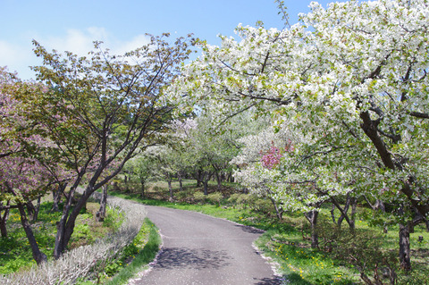 blog_import_58edaadd2cf41